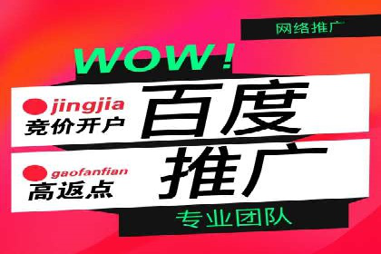 百度推广在电商行业的应用及效果